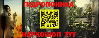 дмт Пушкино