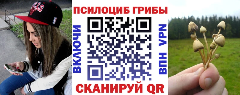 Псилоцибиновые грибы мицелий Уссурийск